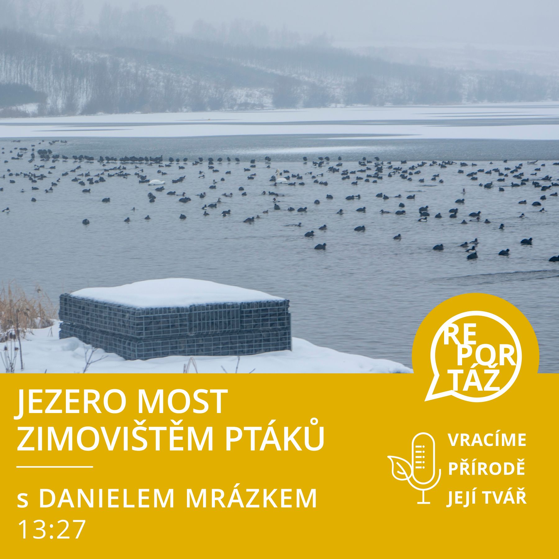 Jezero Most zimovištěm ptáků