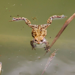 Ekologie jako životní náplň